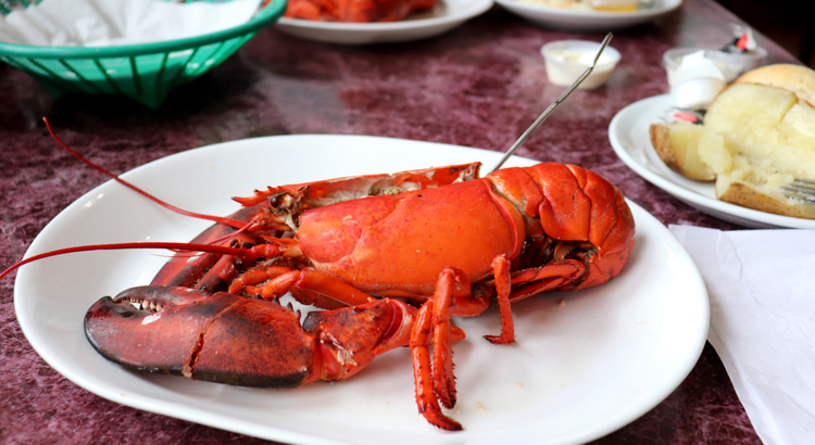 Kanada Nova Scotia Halifax Hummer Foto iStock KCmelete